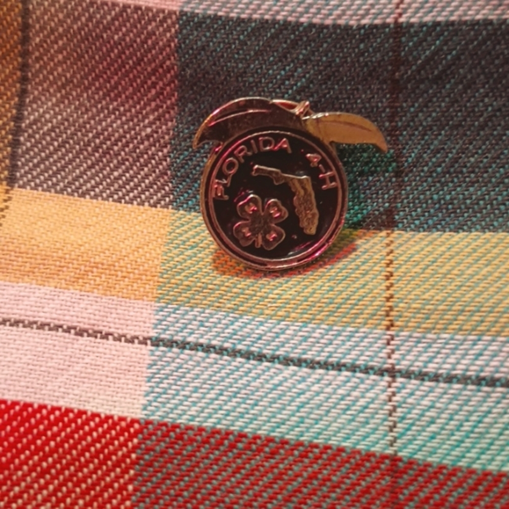 Vintage Florida 4-H Member Pin